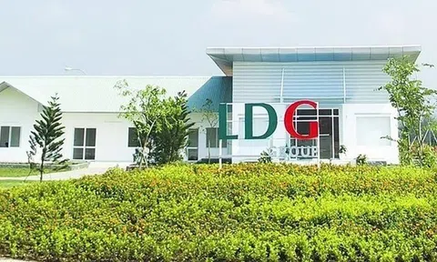 LDG nói gì về cổ phiếu tăng trần 10 phiên liên tục?
