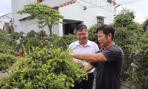 Gặp ông chủ khu vườn tiền tỷ, bán 1 cây xây nhà lầu ở Đắk Lắk