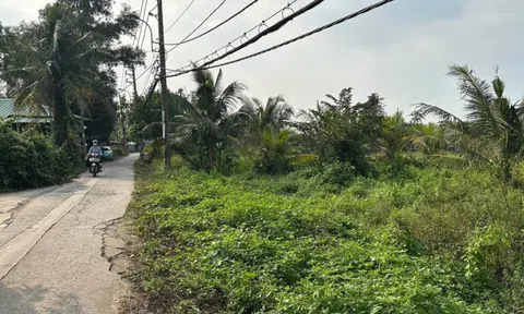 Đề xuất tăng giá đất nông nghiệp lên 65%-70%: Nhiều băn khoăn