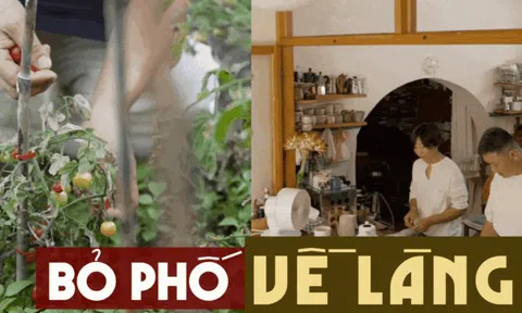 Bỏ phố về làng, cặp vợ chồng chỉ làm 3 ngày mỗi tuần, sống "một kiểu giàu có" nhiều người mơ ước