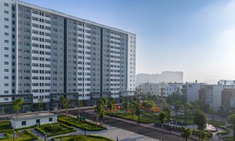 Căn hộ Conic Boulevard 85m² – Giải pháp lý tưởng giữa thị trường đang thu hẹp diện tích