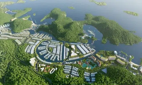 Vinaconex không còn là công ty mẹ của chủ đầu tư dự án Cát Bà Amatina
