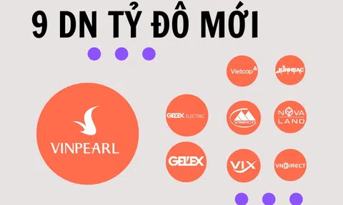 9 'chiến mã' tỷ đô mới: Quán quân tăng giá 300% gọi tên họ GELEX, VIX vượt Vietcap và VNDIRECT để trở thành CTCK lớn thứ 2 thị trường