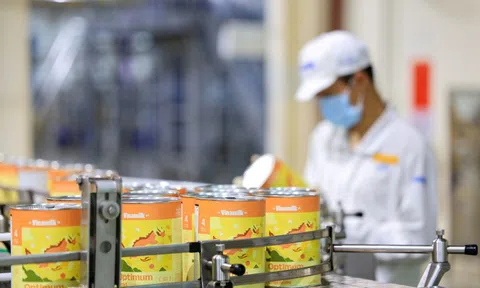 Đột phá 6 HMO: Bước tiến dinh dưỡng của Vinamilk tại Diễn đàn dinh dưỡng lớn nhất Châu Á