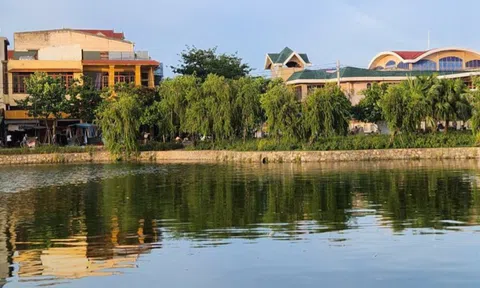 Diễn biến mới vụ cá chết nổi trắng hồ Nam Lý