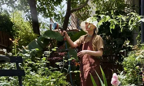 40 tuổi không chồng con, tôi tận hưởng cuộc sống nghỉ hưu sớm trong "ngôi nhà dát vàng" 188m2 giữa thủ đô