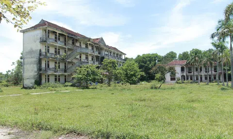 Trường học hàng chục tỷ đồng trở thành nơi nuôi gia súc