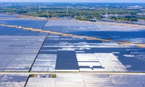 Báo lãi năm 2024, Trung Nam Thuận Nam giảm lỗ lũy kế về gần 850 tỷ đồng