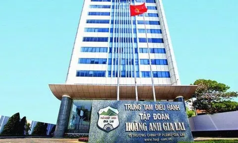Lộ diện người chi nghìn tỷ hoán đổi nợ của Hoàng Anh Gia Lai