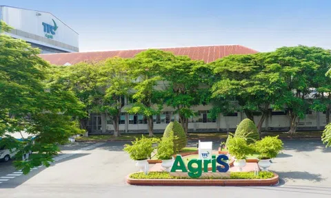 SBT trở lại đường đua tăng trưởng, báo lãi vượt kỳ vọng