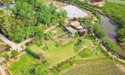 Giám đốc công nghệ “bỏ phố về quê”, mua hơn 133.000m2 đất để nghỉ hưu: Mất 3 năm mới hoàn thành nông trại trong mơ