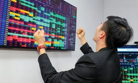 Loạt doanh nghiệp đem hàng trăm, nghìn tỷ đồng đi đầu tư cổ phiếu: Gelex, REE chủ yếu đầu tư vào cổ phiếu ngân hàng, TVC đã bán đi gần 95% danh mục
