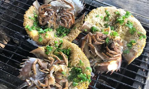 Đặc sản đắt hơn tôm, ghẹ, thuộc dạng quý hiếm ở Quảng Ninh: Bộ phận nào cũng nấu được, vị “kén người ăn”