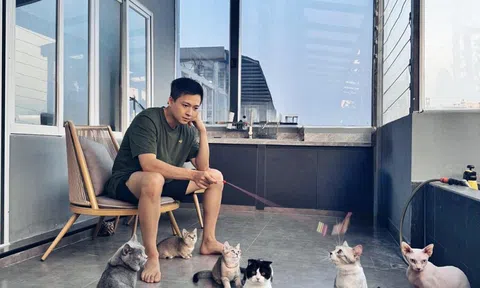 Nam nghệ sĩ sỡ hữu mỗi quận 2 căn nhà: “Phú ông” showbiz Việt, 23 tuổi có con, U40 siêu giàu, chưa vợ