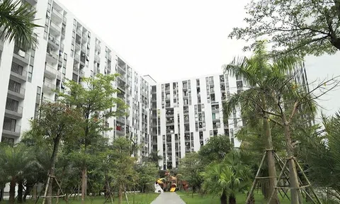 Hà Tĩnh: Tháo gỡ khó khăn, tăng tốc triển khai các dự án nhà ở xã hội