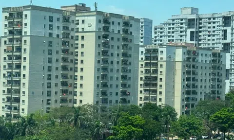 Sau khi đổi 3 căn chung cư, tôi nhận ra: Đừng chỉ chọn hướng, đây mới là 4 điểm vàng cần lưu tâm, chọn đúng thì sống sướng, bán dễ