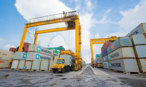 Viconship (VSC) tăng kế hoạch lợi nhuận lên 1.250 tỷ, hơn 300% so với kế hoạch ban đầu