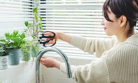 Mẹ Hà Nội chia sẻ: Sau khi bán căn hộ hướng Tây và chuyển sang hướng Đông, tôi mới thấy khác biệt rõ rệt dù ở cùng một tầng