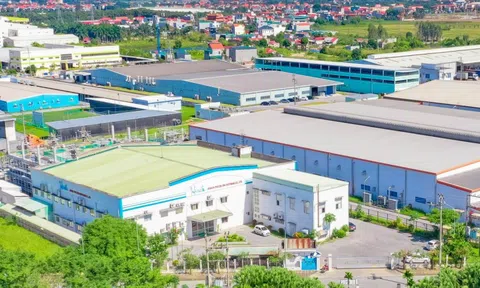 Doanh nghiệp Việt củng cố nội lực trước thềm kỷ nguyên vươn mình