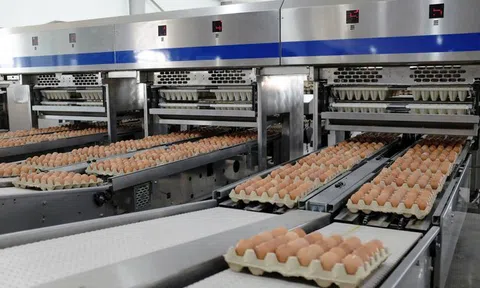 Một mảng kinh doanh rất “khác” ở Hòa Phát
