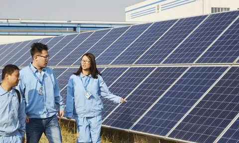 Từ chiến lược toàn cầu đến dẫn dắt mục tiêu Net-zero 2050