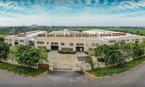 Xây dựng Đông Dương (DDB) bị phạt nặng vì công bố thông tin chậm và “vẽ” lợi nhuận ảo