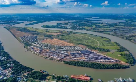 Đảo giữa sông ngay gần TP.HCM, đường đi chỉ mất 1 tiếng: Du khách nhận xét "Không ngờ có nơi như vậy!"