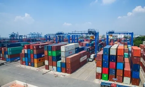 Một doanh nghiệp cảng biển chốt lại ngày trả cổ tức bằng tiền mặt, tỷ lệ 26,7%