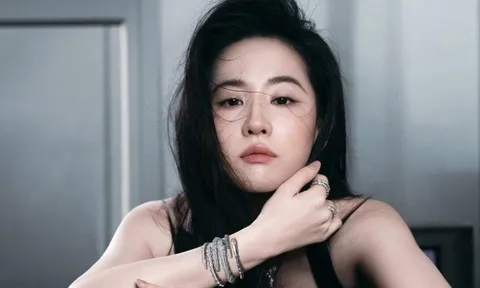 Một năm buồn của Lưu Diệc Phi