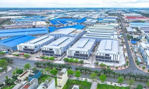 Một công ty bất động sản KCN báo lãi quý 3/2025 giảm 70%, cổ phiếu giảm kịch sàn