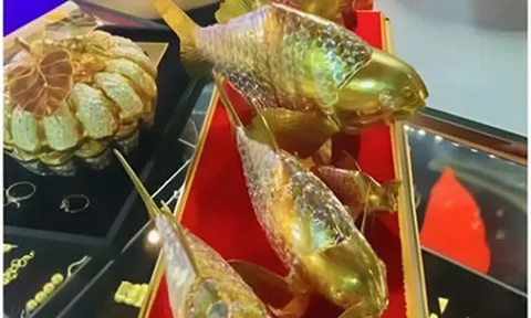 Bỏ 160 triệu đồng mua cá vàng nguyên khối, người đàn ông sốc khi mang bán