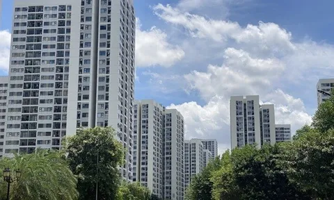 Chuyển từ căn hộ studio sang căn 1 phòng ngủ: Chỉ sau 1 lần đổi không gian sống, tôi mới hiểu sự khác nhau lớn đến thế nào