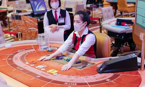 Chủ Casino Hoàng Gia tiếp tục báo lỗ