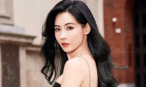 Vạch mặt người “chống lưng” cho Trương Bá Chi