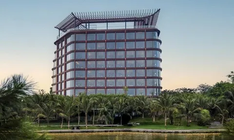 Bứt phá trong quý III/2025, OCH hoàn thành vượt 2,4 lần kế hoạch năm chỉ sau 9 tháng