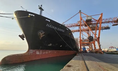 Lợi nhuận của Vận tải và Xếp dỡ Hải An tăng đột biến