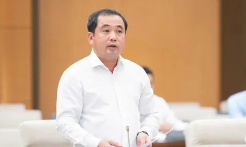 Bổ sung các quy định riêng về quản lý, chế biến và sử dụng đất hiếm