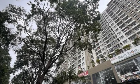 Danh sách 8 dự án nhà ở xã hội tại Đồng Nai được vay gói tín dụng 120.000 tỉ đồng