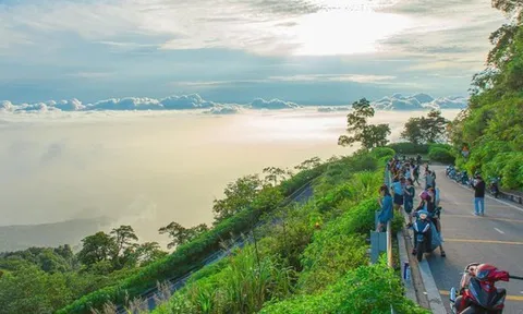 Cảnh tượng ngay lúc này ở Ba Vì, Hà Nội: Du khách trầm trồ nhận xét "Cả năm chỉ có 1 lần!"