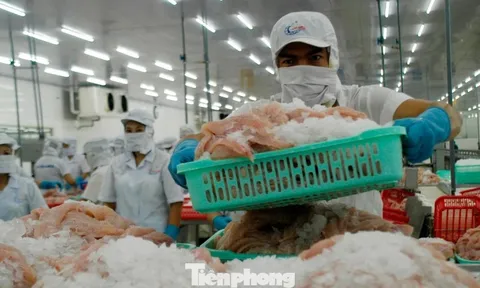 Doanh nghiệp nói về gỡ bỏ chính sách 'sáng đúng, trưa sai nhưng chiều lại đúng'