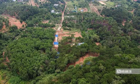 Năm 2026, thiết lập và vận hành sàn giao dịch carbon trong nước