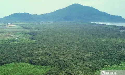 VIDEO: Ngắm "pháo đài xanh" trăm tuổi hiếm có giữa cồn cát ven biển Huế