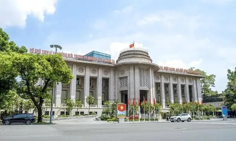 Quy định tổ chức và hoạt động của Thanh tra ngành Ngân hàng