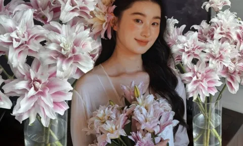 Cắm bình hoa bách hợp Isabella "đẹp như tranh" ngày Tết: Bí kíp dưỡng hoa nở đều, tươi lâu cả tháng chỉ nhờ thứ này