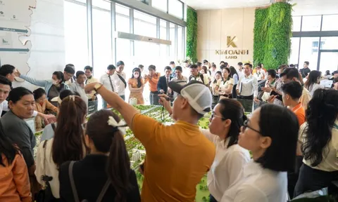 Giải mã sức hút mãnh liệt của The Link City