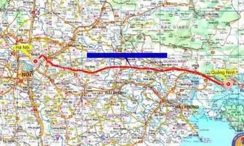 Đường sắt tốc độ cao 5 tỷ USD do VinSpeed của tỷ phú Phạm Nhật Vượng triển khai chốt hướng tuyến qua 6 phường, xã Quảng Ninh dài hơn 39km