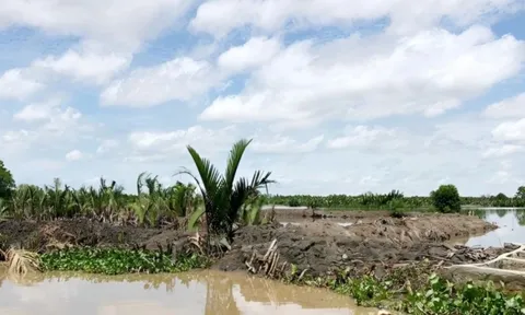 Danh tính hai người đàn ông chiếm gần 29 ha đất công