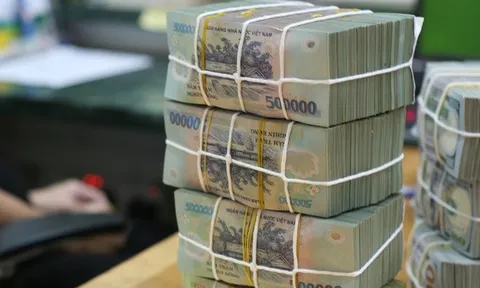 Điểm tên các "đại gia" tiền mặt trên sàn chứng khoán