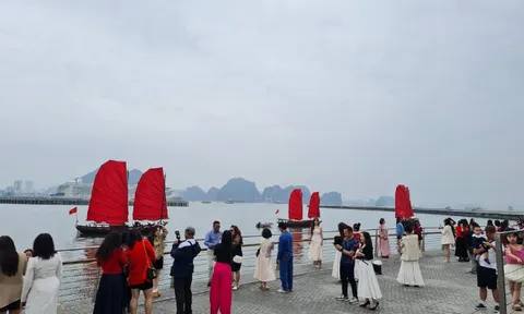 Chính thức: Tạm dừng hoạt động của thuyền buồm đỏ ven bờ vịnh Hạ Long, lý do là gì?