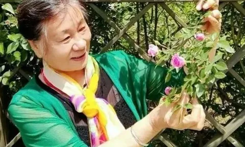 Sân 60m² giữa phố trồng hàng trăm loại rau: Cuộc sống hưu trí khiến nhiều người ước ao vì mỗi ngày ăn một loại rau khác nhau